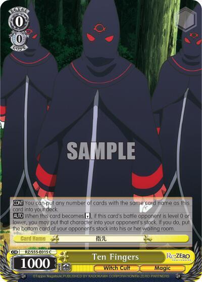 Ten Fingers RZ/S55-E015 C
