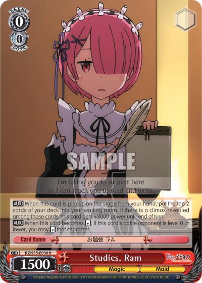 Studies, Ram RZ/S55-E030 R