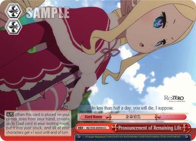 Pronouncement of Remaining Life RZ/S55-E054 CC