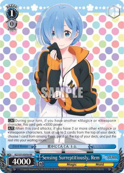 Sensing Surreptitiously, Rem RZ/S55-E058 RR