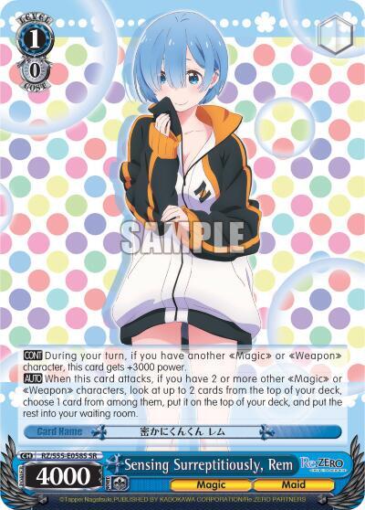Sensing Surreptitiously, Rem RZ/S55-E058S SR