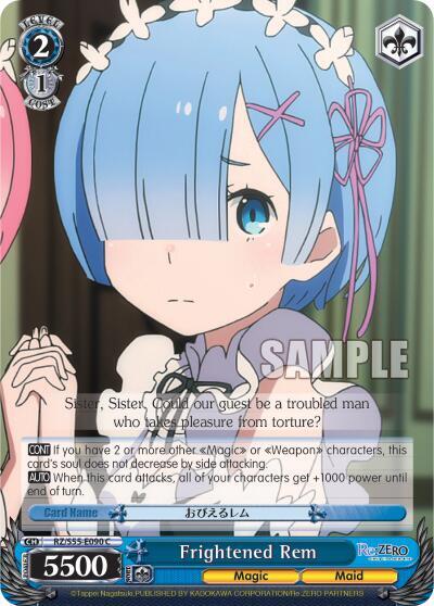 Frightened Rem RZ/S55-E090 C