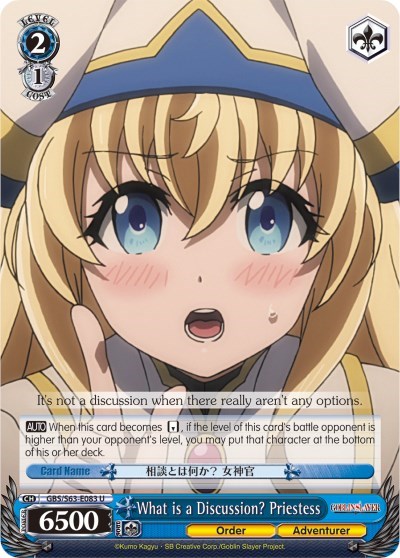What is a Discussion? Priestess GBS/S63-E083 U