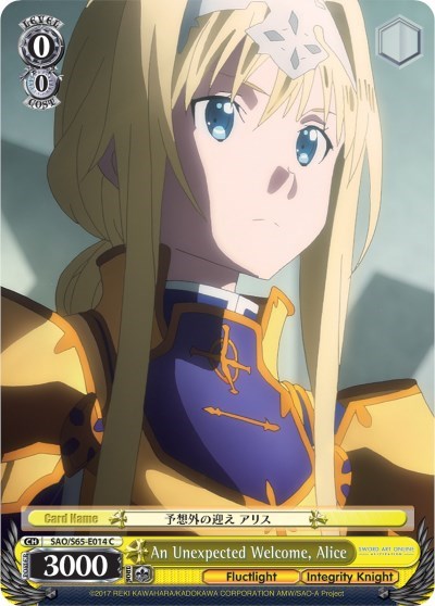 An Unexpected Welcome, Alice SAO/S65-E014 C