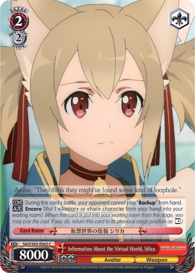 Information About the Virtual World, Silica SAO/S65-E063 C