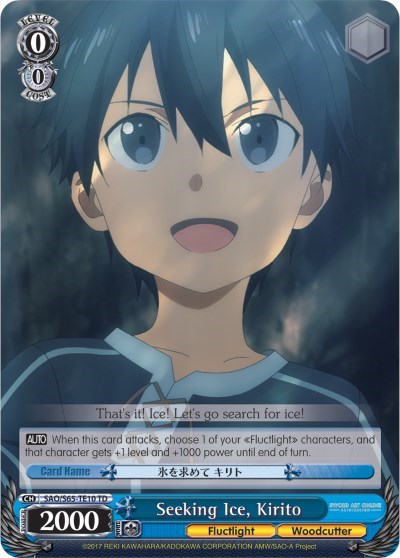 Seeking Ice, Kirito SAO/S65-TE10 TD