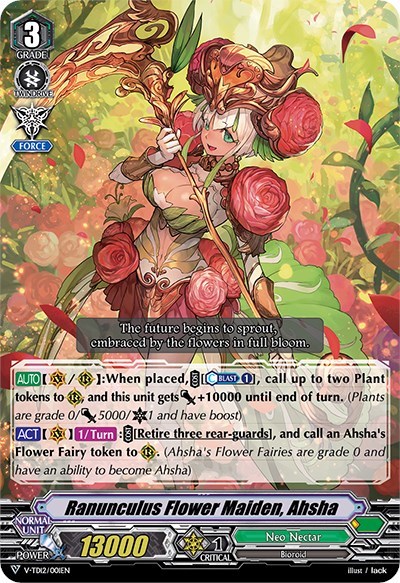 Ranunculus Flower Maiden, Ahsha [V Format] 