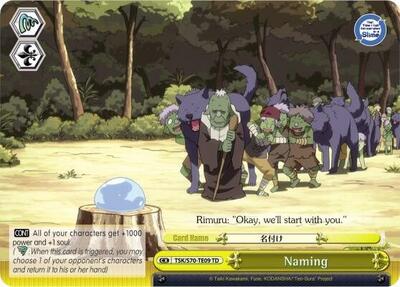Naming TSK/S70-TE09 TD