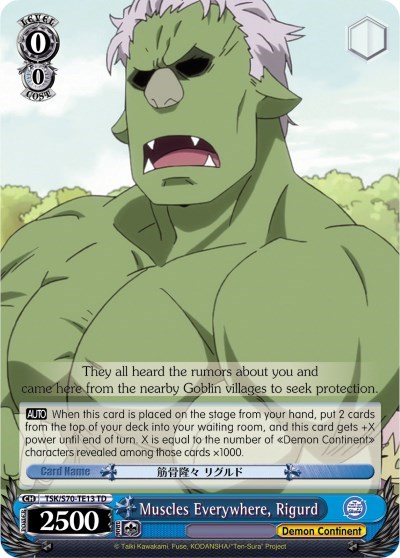 Muscles Everywhere, Rigurd TSK/S70-TE13 TD