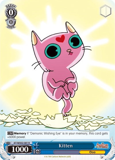 Kitten AT/WX02-081 R