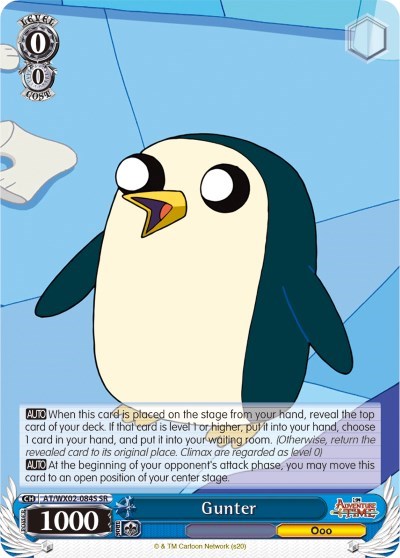 Gunter AT/WX02-084S SR