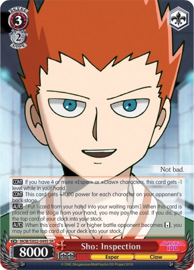 Sho: Inspection MOB/SX02-049S SR