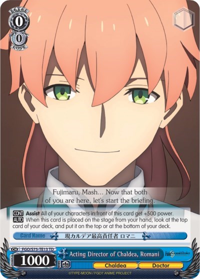 Acting Director of Chaldea, Romani FGO/S75-TE13 TD