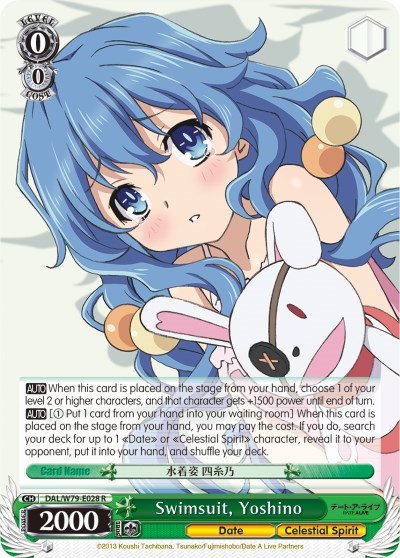 Swimsuit, Yoshino DAL/W79-E028 R
