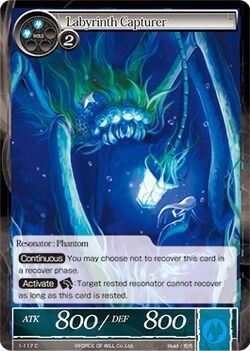 Labyrinth Capturer 1-117