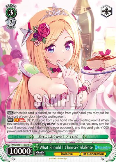 What Should I Choose? AkiRose HOL/W91-TE034 TD