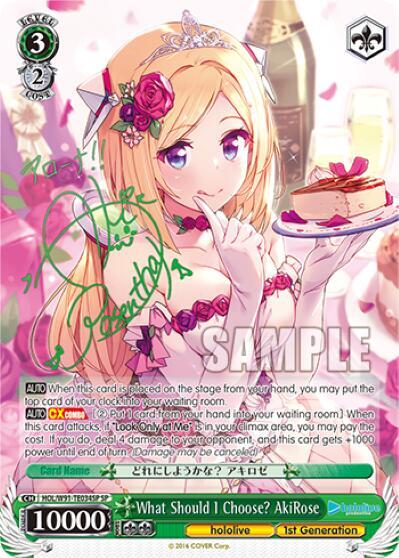 What Should I Choose? AkiRose HOL/W91-TE034SP SP