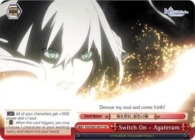 Switch On - Agateram FGO/S87-E077 CR