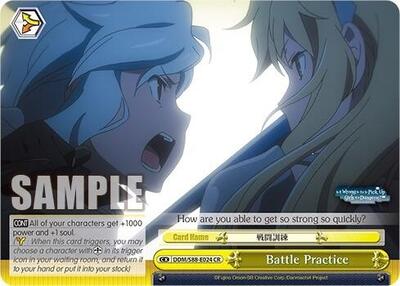 Battle Practice DDM/S88-E024 CR