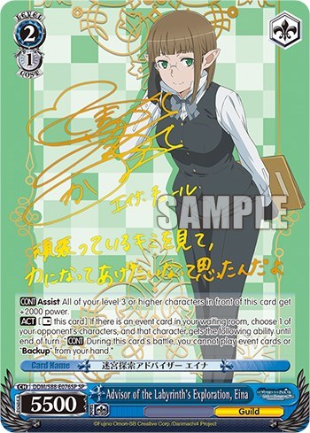 Advisor of the Labyrinth's Exploration, Eina DDM/S88-E076SP SP