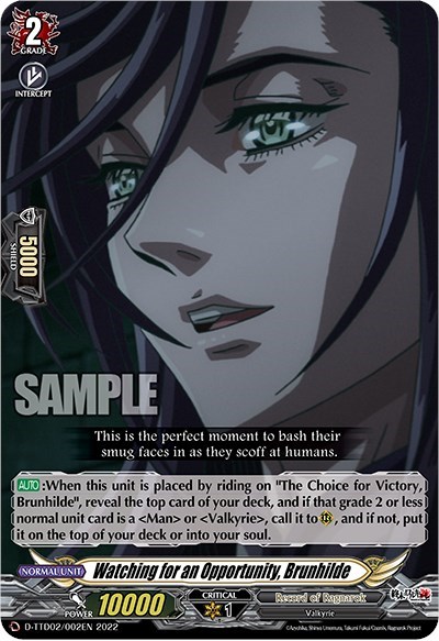 Watching for an Opportunity, Brunhilde [D Format] 