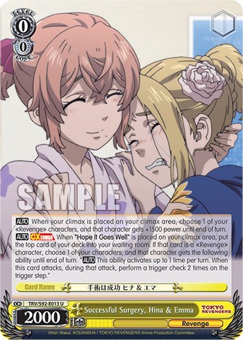 Successful Surgery, Hina & Emma TRV/S92-E013 U