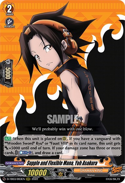 Supple and Flexible Mana, Yoh Asakura [D Format] D-TB03/003EN