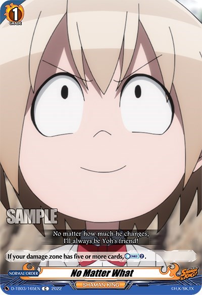 No Matter What [D Format] D-TB03/165EN