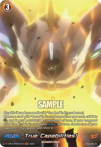 True Capabilities! [D Format] D-TB03/SKR075EN