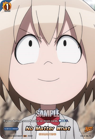 No Matter What [D Format] D-TB03/SKR165EN
