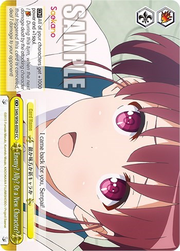 Enemy? Ally? Or a New Character? SHS/W56-E029 CC