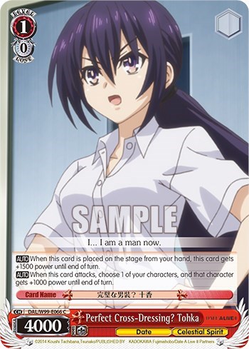 Perfect Cross-Dressing? Tohka DAL/W99-E066 C