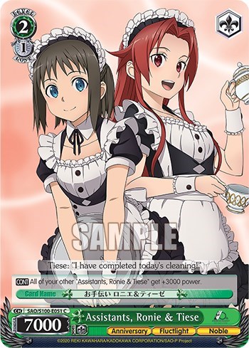 Assistants, Ronie & Tiese SAO/S100-E051 C