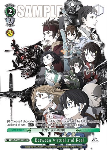 Between Virtual and Real SAO/S100-PE03S