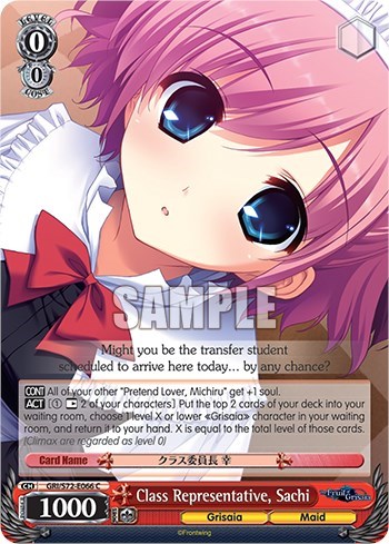 Class Representative, Sachi GRI/S72-E066 C