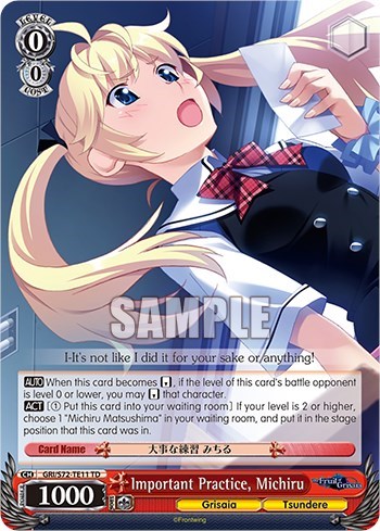 Important Practice, Michiru GRI/S72-TE11 TD