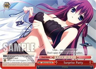 Surprise Party GRI/S72-TE20 TD