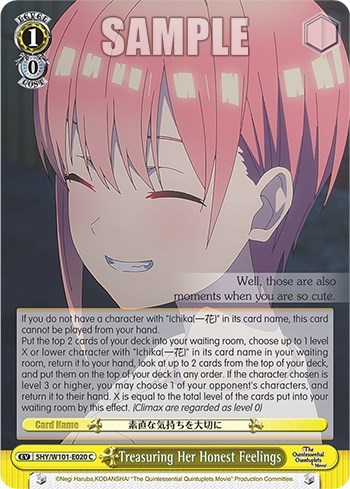 Treasuring Her Honest Feelings 5HY/W101-E020 C
