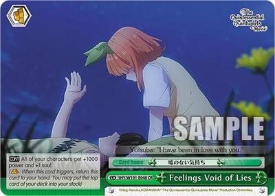 Feelings Void of Lies 5HY/W101-E048 CR