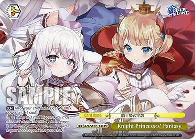 Knight Princesses' Fantasy AZL/S102-E144 PR