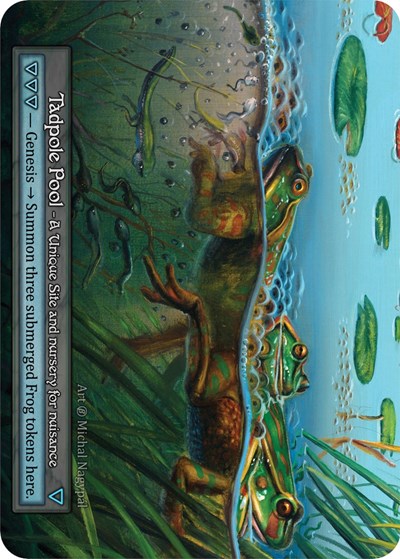 Tadpole Pool 