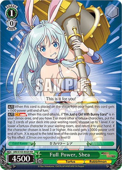 Full Power, Shea ARI/S103-E020 RR