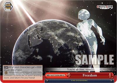 Freedom GGST/SX06-080 CC