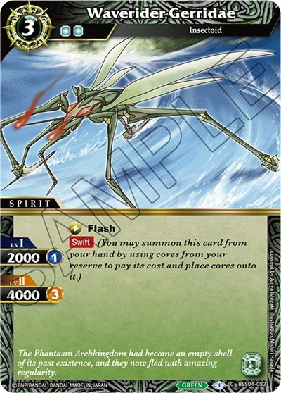 Waverider Gerridae BSS04-082