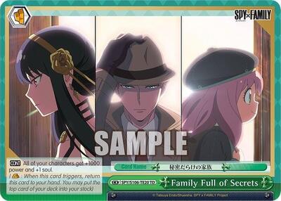 Family Full of Secrets SPY/S106-TE20 TD