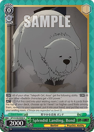 Splendid Landing, Bond SPY/S106-E040 U