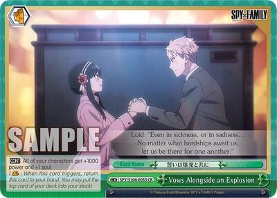 Vows Alongside an Explosion SPY/S106-E055 CR