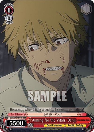 Aiming for the Vitals, Denji CSM/S96-TE14R RRR