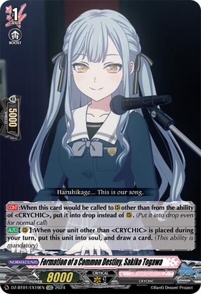 Formation of a Common Destiny, Sakiko Togawa [D-Format] DZ-BT01/EX19EN