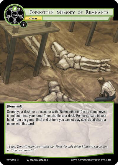 Forgotten Memory of Remnants 